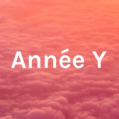 Année Y