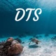 DTS