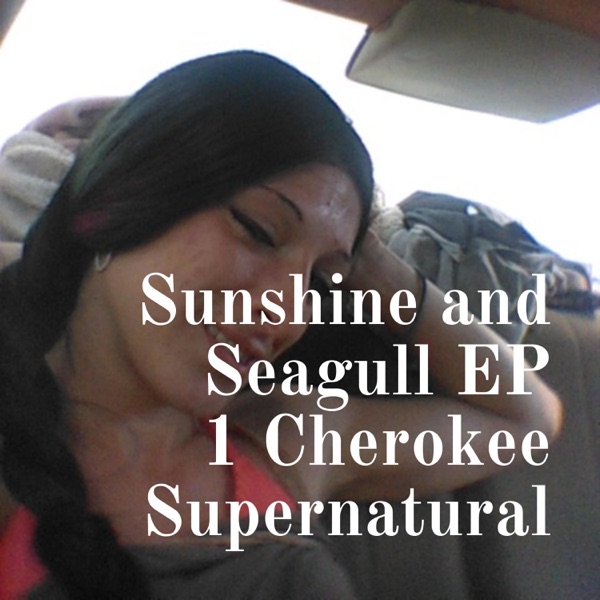 Sunshine and Seagull EP 1 Cherokee Supernatural Artwork