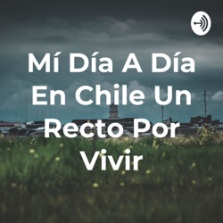 Mí Día A Día En Chile Un Recto Por Vivir