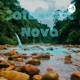 Catecismo Nova Cidade- Tim Keller