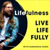 Lifefulness: Live Life Fully artwork