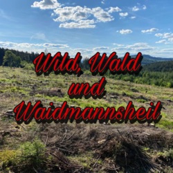 Wild, Wald und Waidmannsheil 