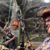 Canopy Insider with Almon and Carolina from Beast Coast Tree Climbers artwork