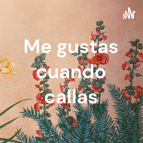 Me gustas cuando callas