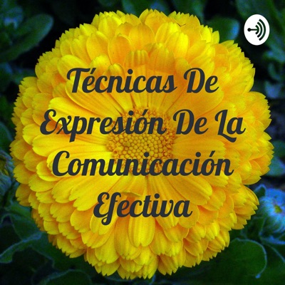 Técnicas De Expresión De La Comunicación Efectiva