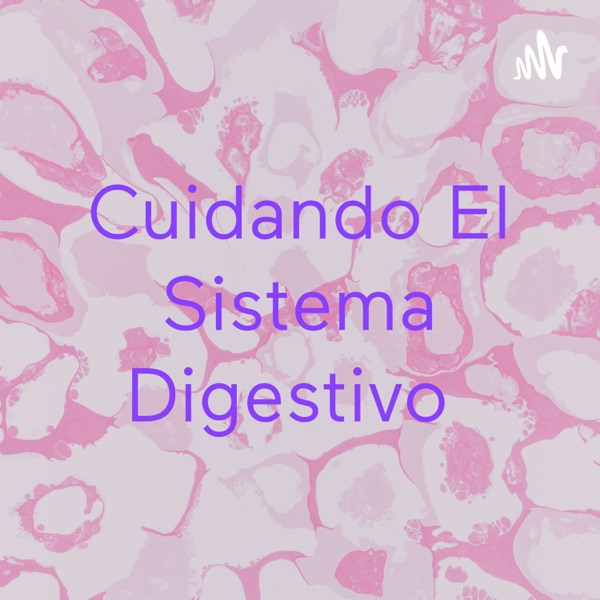 Cuidando El Sistema Digestivo 