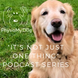 Series 2 - Ep 6 - Harriet & Becky Talk Physio In a Field Full of Cows - Part 1