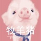 牧羊猪