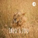 Theo’s Zoo (Trailer)