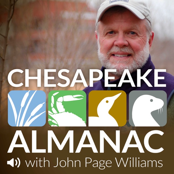 Chesapeake Almanac Artwork