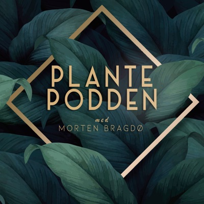 Plantepodden:Pikant Media