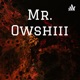 Mr. Owshiii