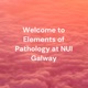 Welcome to Elements of Pathology at NUI Galway - Class Podcasts