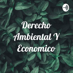 Derecho Ambiental Y Economico