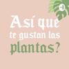 ¿Así que te gustan las plantas?