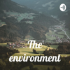 The environment - Sara Alzate