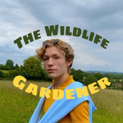 The Wildlife Gardener