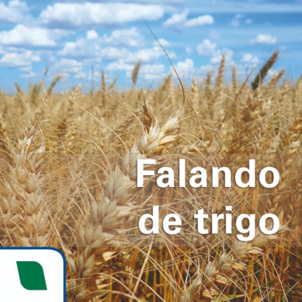 Falando de trigo