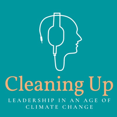 Cleaning Up: Leadership in an Age of Climate Change:Michael Liebreich, Bryony Worthington