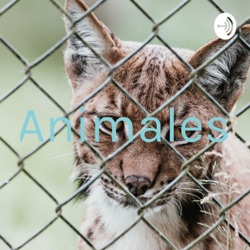 Animales