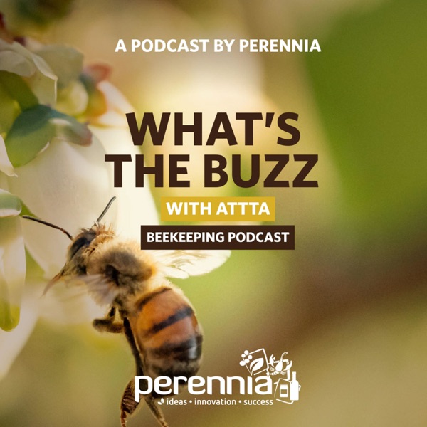 What’s the Buzz with ATTTA Beekeeping Podcast