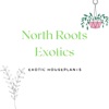 North Roots Exotics artwork