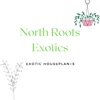 North Roots Exotics artwork