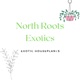 North Roots podcast 2021!