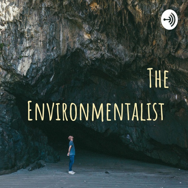 The Environmentalist cover art