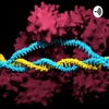 What the Molecule artwork