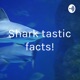 Shark tastic facts!