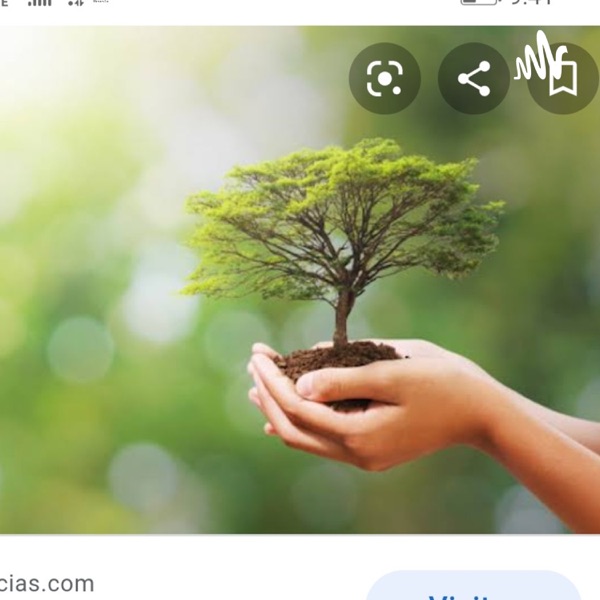 Naturaleza 
