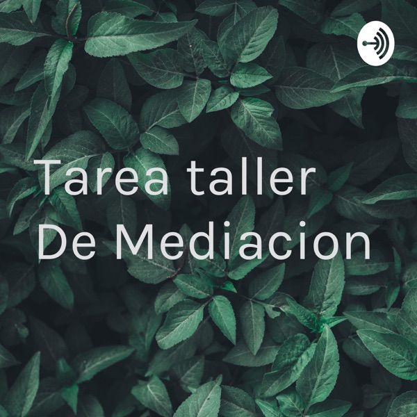 Tarea taller De Mediacion