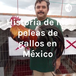 Historia de las peleas de gallos en México