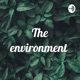 The environment 