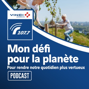 Apprendre à piloter en avion électrique