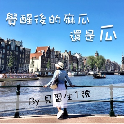 覺醒後的麻瓜還是瓜 覺醒後的麻瓜還是瓜