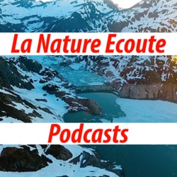 La Nature Écoute