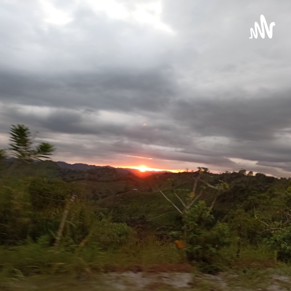 Manabi