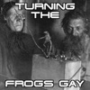 Turning the Frogs Gay: One Man's Conspiracy Breakdown artwork