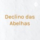 Declino das Abelhas