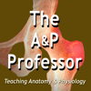 The A&P Professor - Kevin Patton