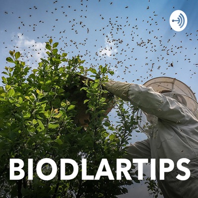 Biodlartips Biodlartips