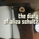 The Diary Of Aliza Schultz