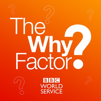 The Why Factor The Why Factor