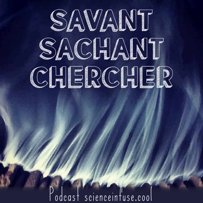 Savant Sachant Chercher Savant Sachant Chercher