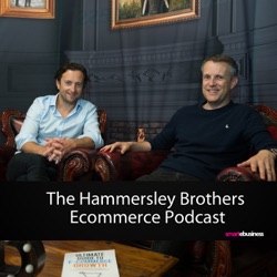 Ecommerce: The 10,000 Foot View