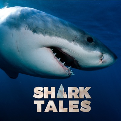 Shark Tales Shark Tales