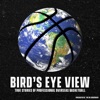 Bird's Eye View with Erica McCall: True Stories of Professional Basketball artwork